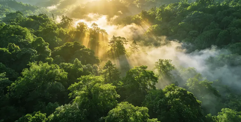 福州肺癌靶向39基因检测及PDL122C3表达检测套餐（组织）图片1