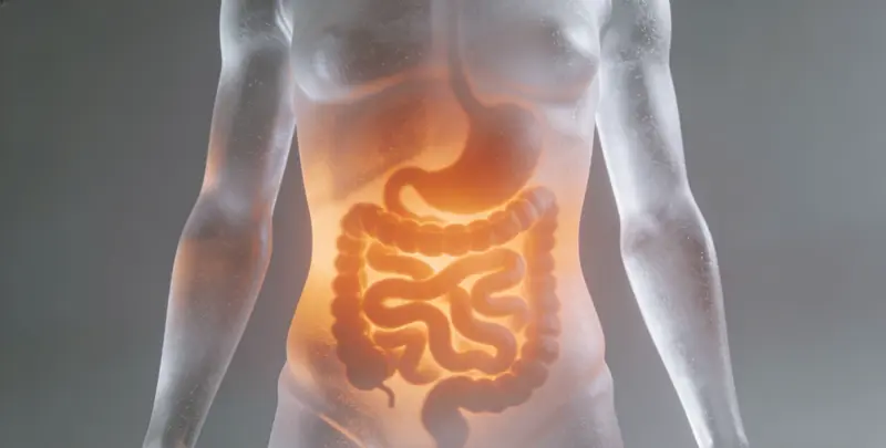 福州肠癌甲基化检测图片1